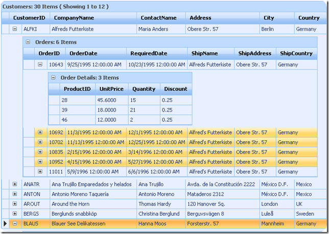 heavy duty datagrid component - part of ANUJ's application framework