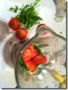 tomatoes_coriander_in_blender