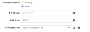 vpn customer side info